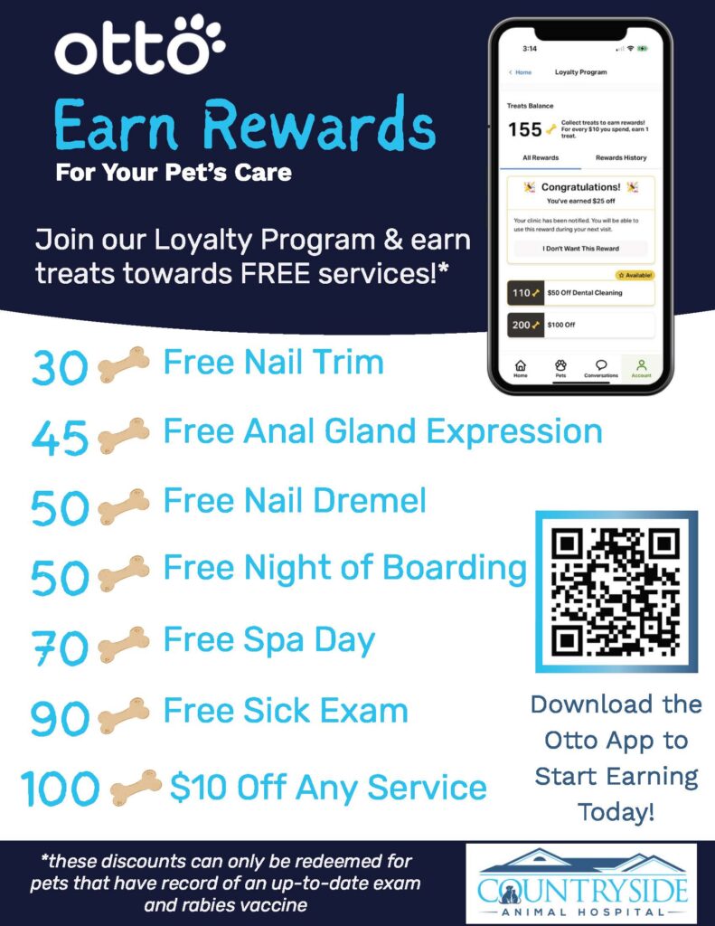 Otto Rewards Flyer