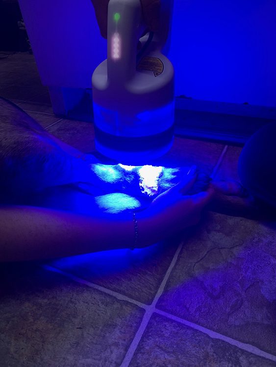 Phovia Therapy