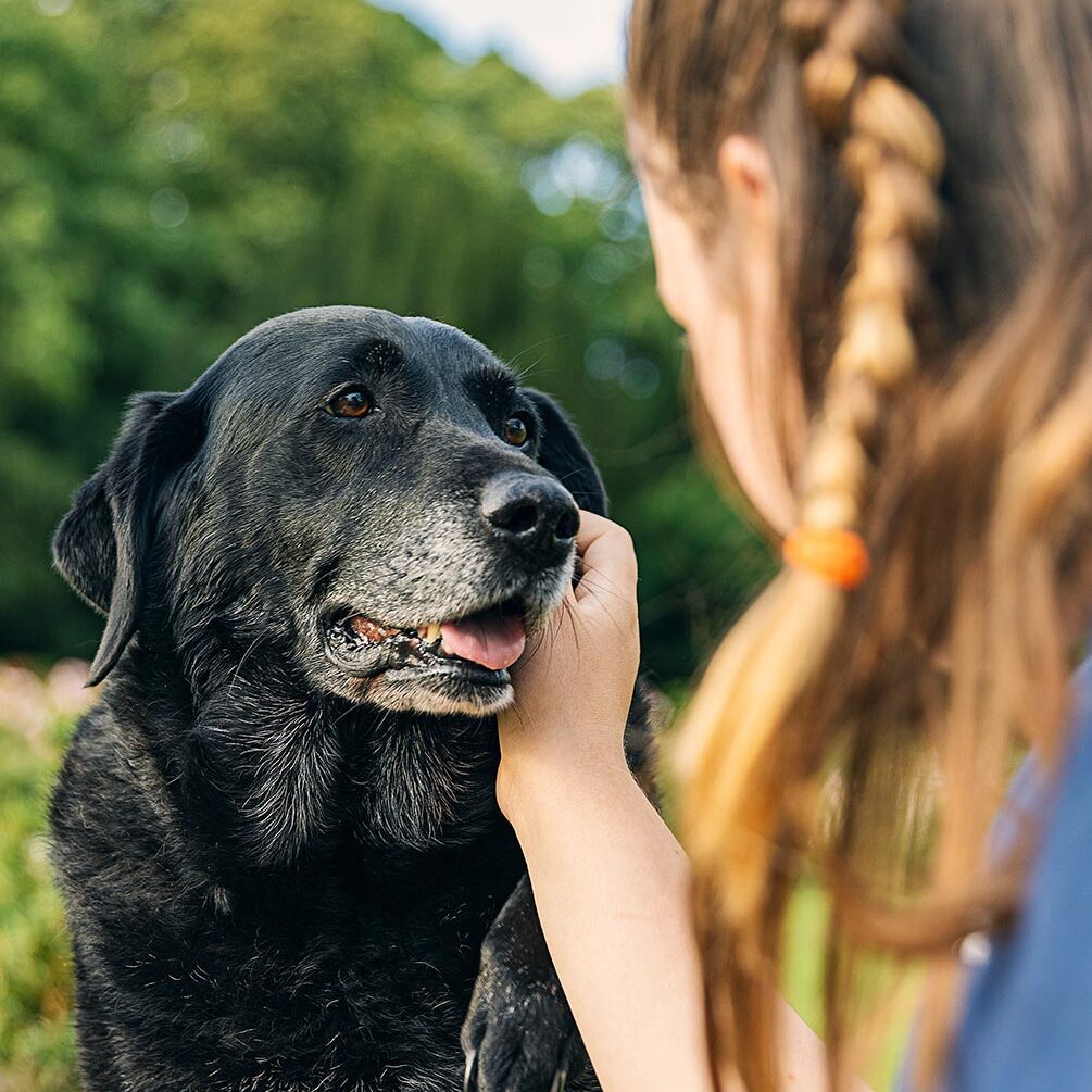 female staff member petting happy black senior dog outside