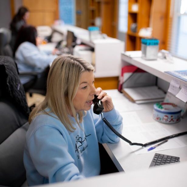 Girl Talking On Phone