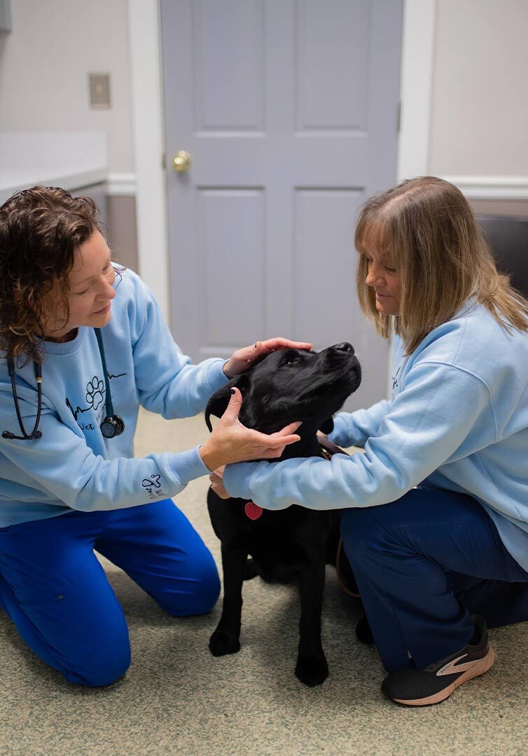 two female veterinarians smiling while kneeling down and petting black dog